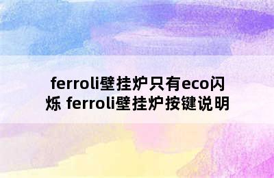 ferroli壁挂炉只有eco闪烁 ferroli壁挂炉按键说明